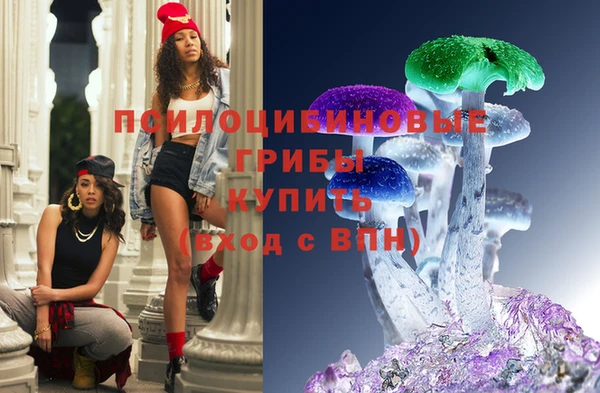 СК Володарск