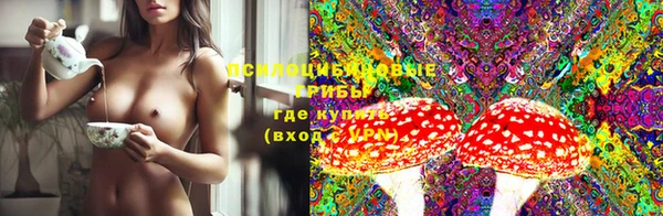 СК Володарск