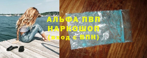 PSILOCYBIN Волосово