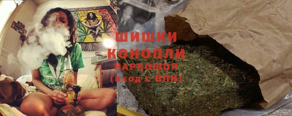 PSILOCYBIN Волосово