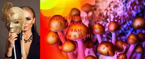 PSILOCYBIN Волосово